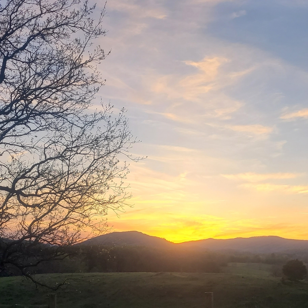 Meet your Posher, Carrie